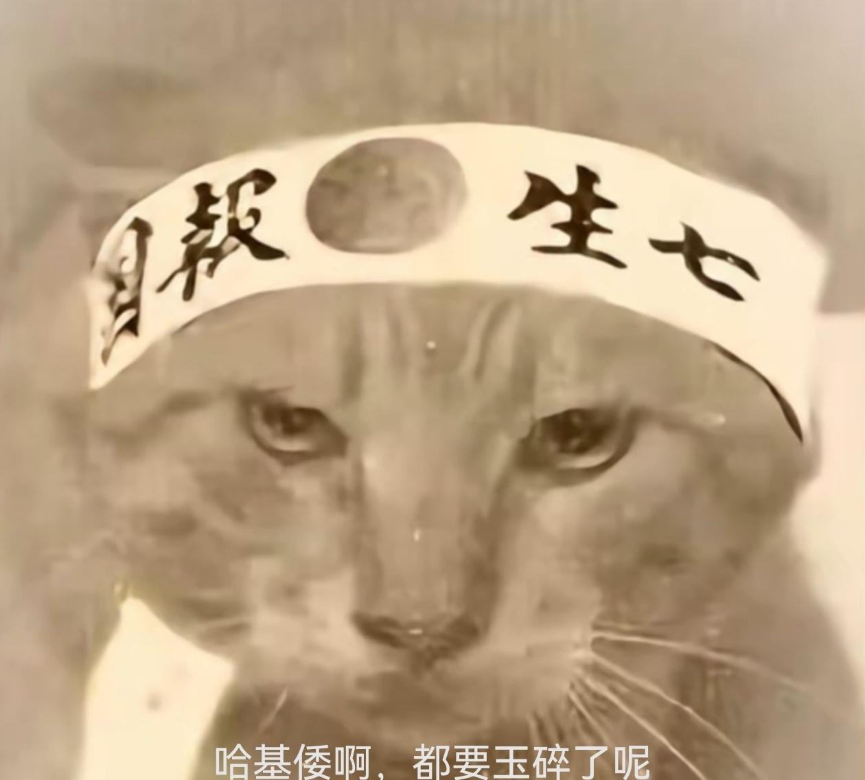 什么叫人民？在社会主义国家的评价体系下，人民是有无产阶级自觉性的公民，是参加和拥