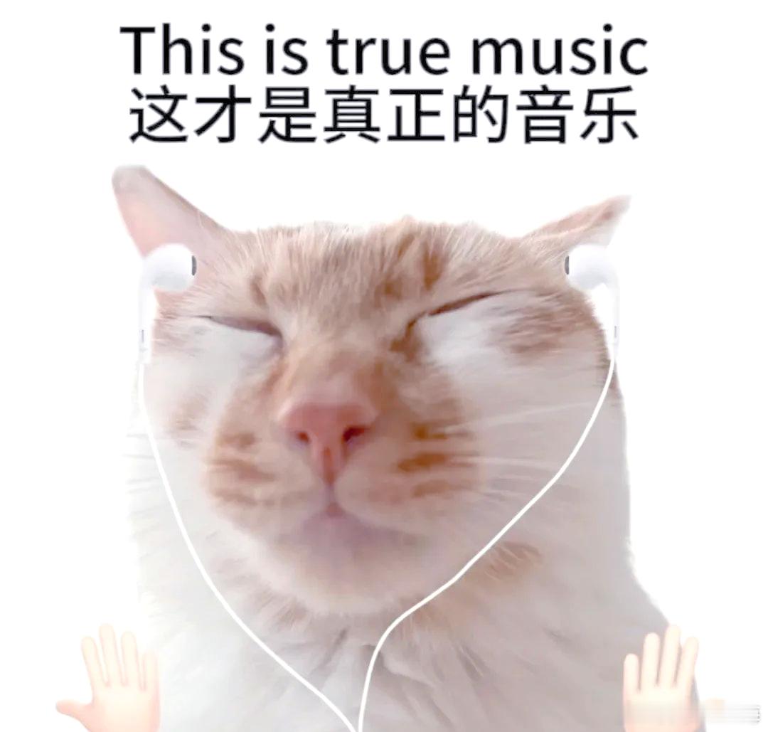 听声音就能判断一辆车值不值  好马配好鞍，就冲这一点，30万以上的车，我个人经验