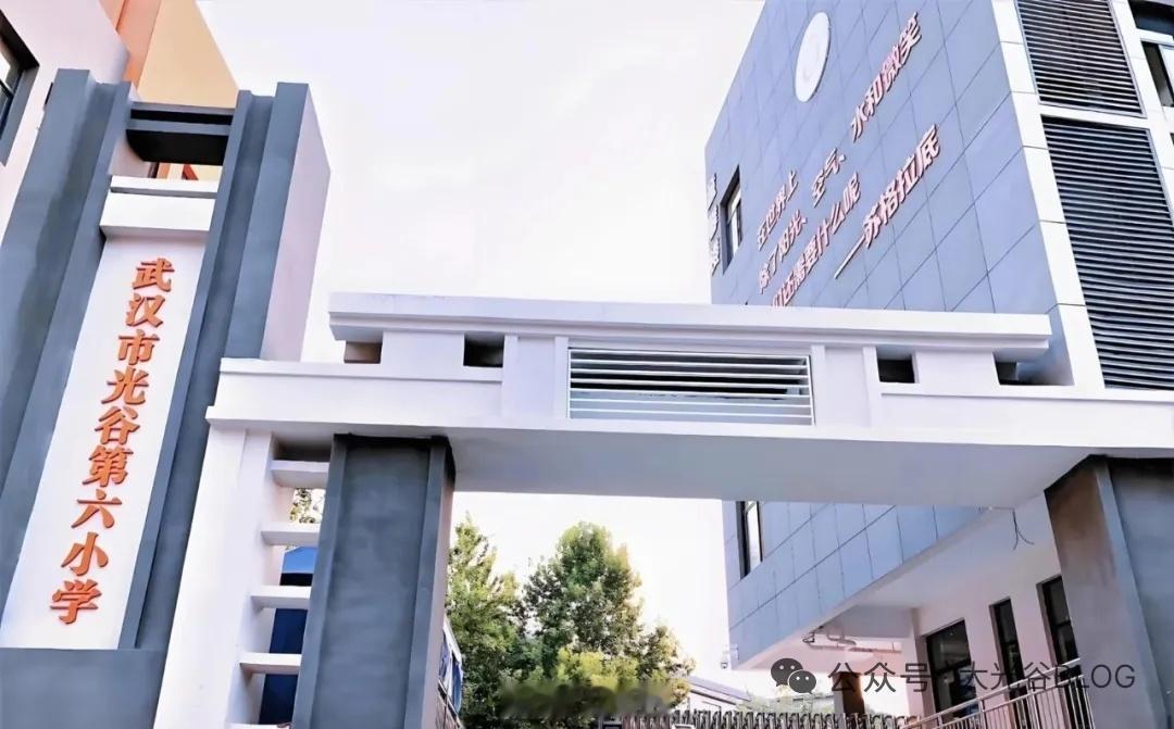 光谷关山重大调规！精伦电子地块改住宅+小学，片区学区短板彻底补齐光谷关山核心再迎