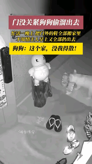 “笑不活了！”浙江，某住户遛完狗回家由于房门没有闭紧，狗子半夜撞开房门，把门口的
