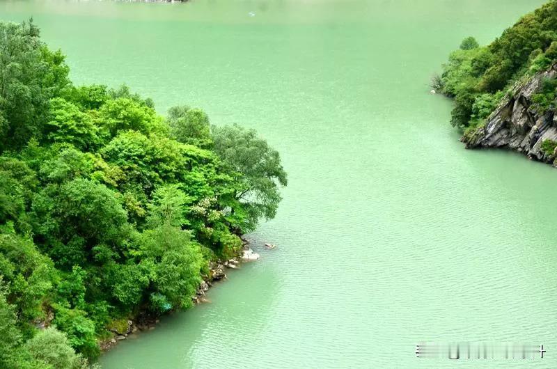七律          幽居
 
青山翠影映村前，绿水环流绕舍边。
雨润禾苗添锦