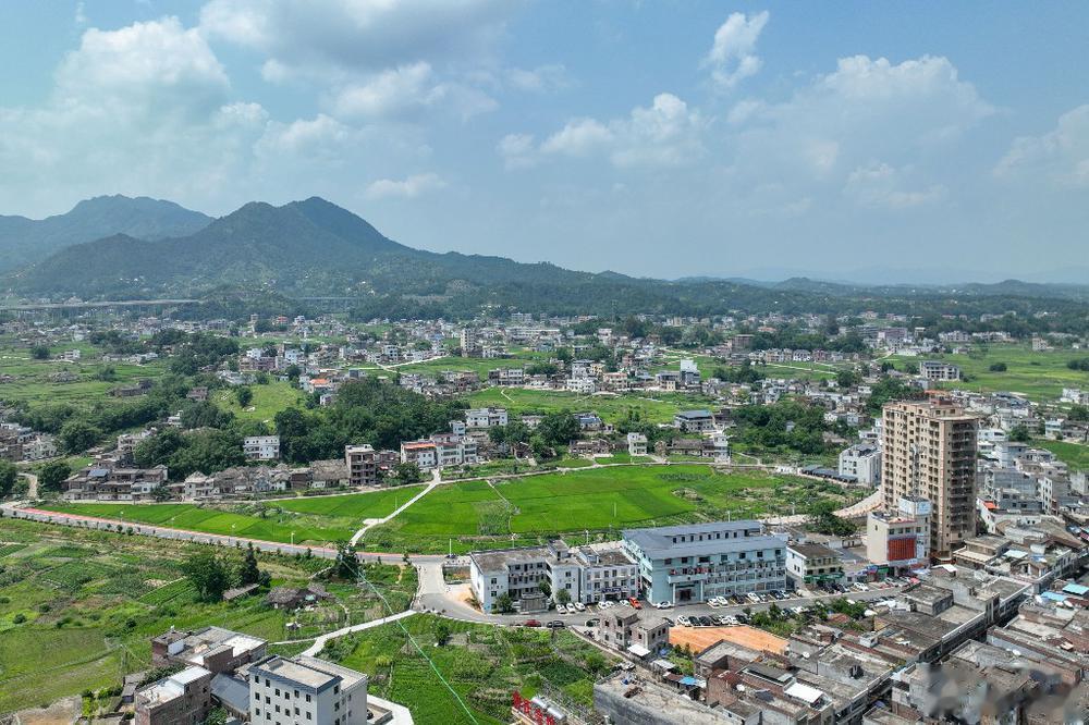 【深入实施“百千万工程”，广东持续建设宜居宜业和美乡村】金秋时节，南粤大地的田野