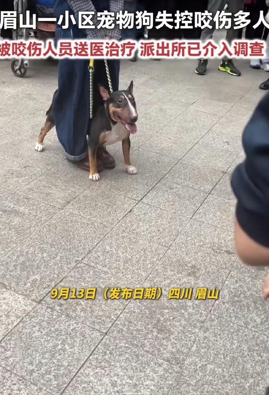 黑龙江牡丹江一小区内发生的惊险一幕，让无数网友看得揪心又愤怒。小区本是居民日常居
