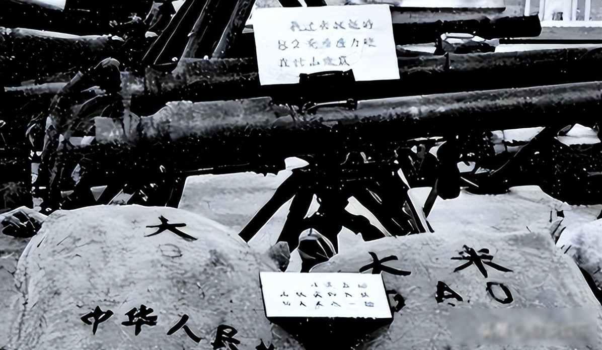 阿尔巴尼亚草坪上堆着40架旧飞机，当年中国送的，现在当废铁卖；要钱时称兄道弟，断