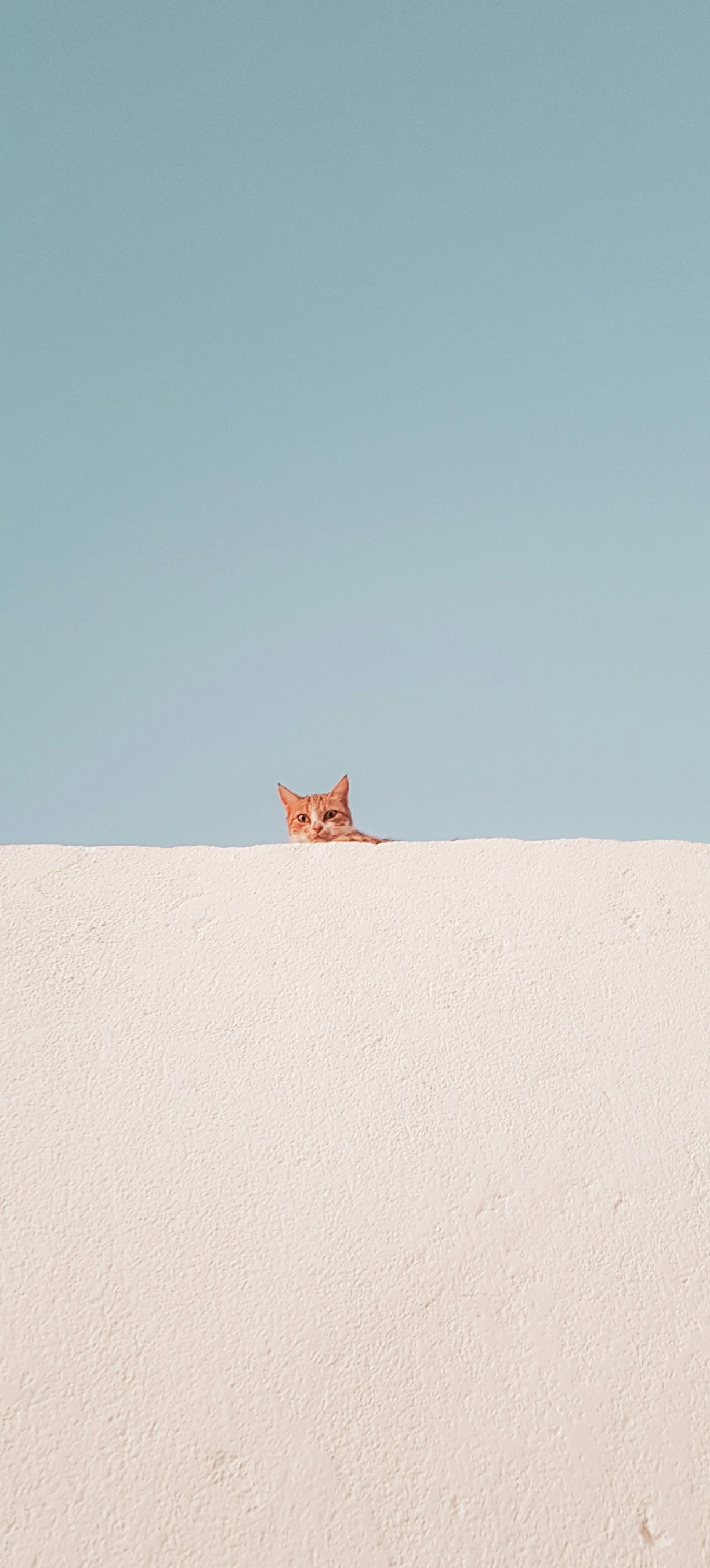 十天干篇完成8篇了。一直没停事儿的在写，尽力了嗷朋友们，麻烦再等等，明天下午能发