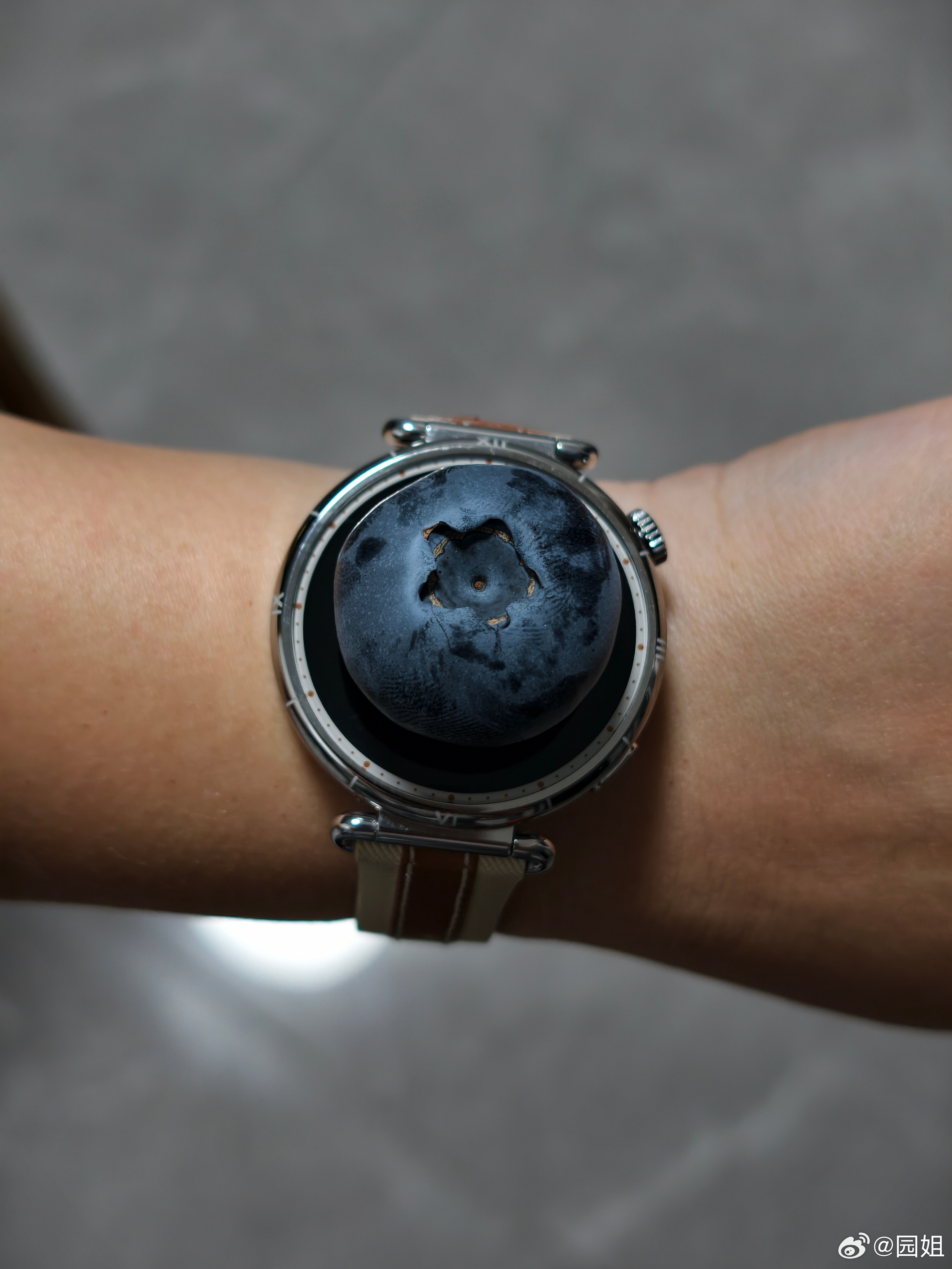 刚到家我就收到邻居投喂的蓝莓，够不够大