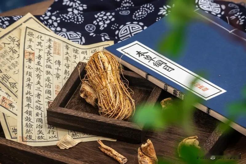 你认为有必要振兴中医吗个人觉得有必要，现在的医院动不动就是检查这个检查那个，都是