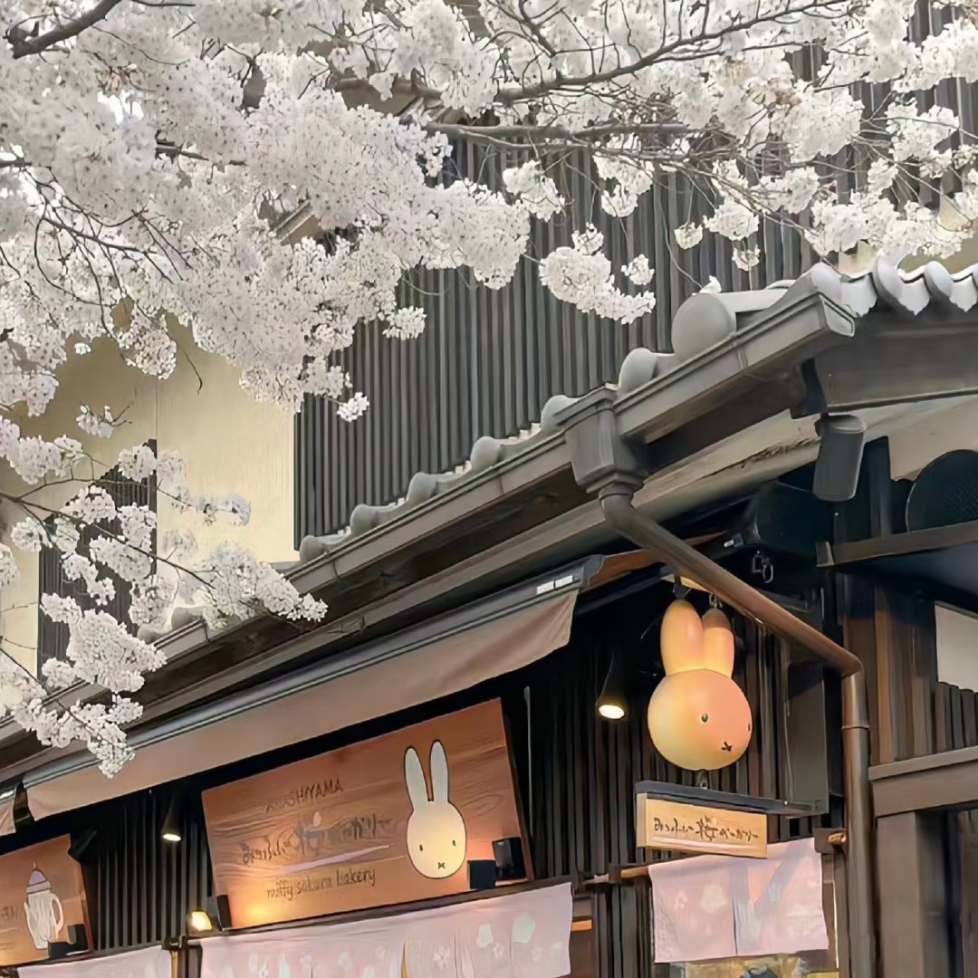 𝐒𝐡𝐚𝐫𝐞丨小众韩系背景图 