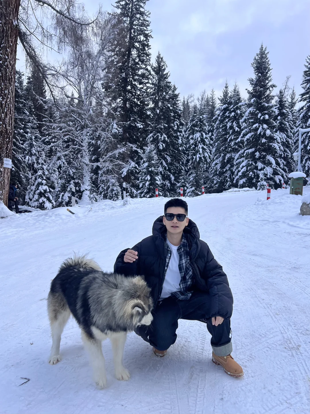 比起禾木 我会更喜欢白哈巴❄️