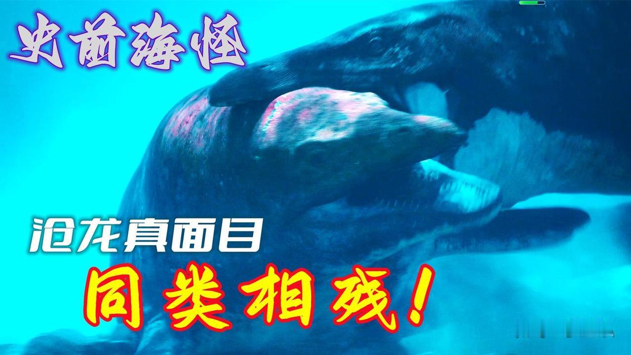 史前凶案现场：沧龙的内斗，血腥又暴力
     白垩纪末期的远古海洋中，沧龙（M