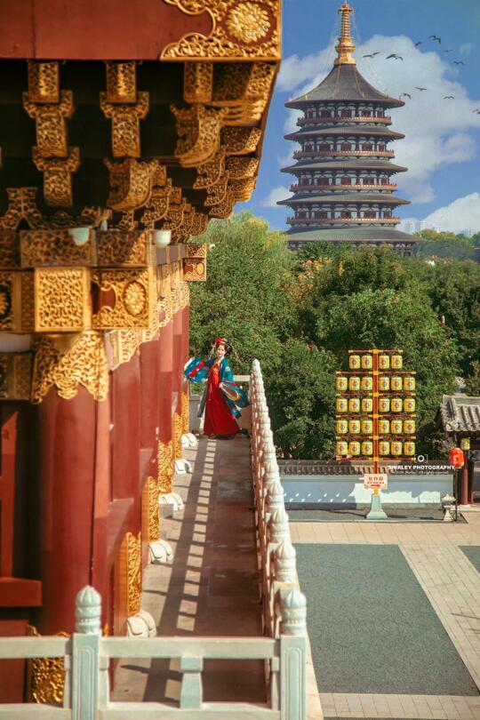 洛阳绝美机位合集🏮梦回千年古都的懒人攻略