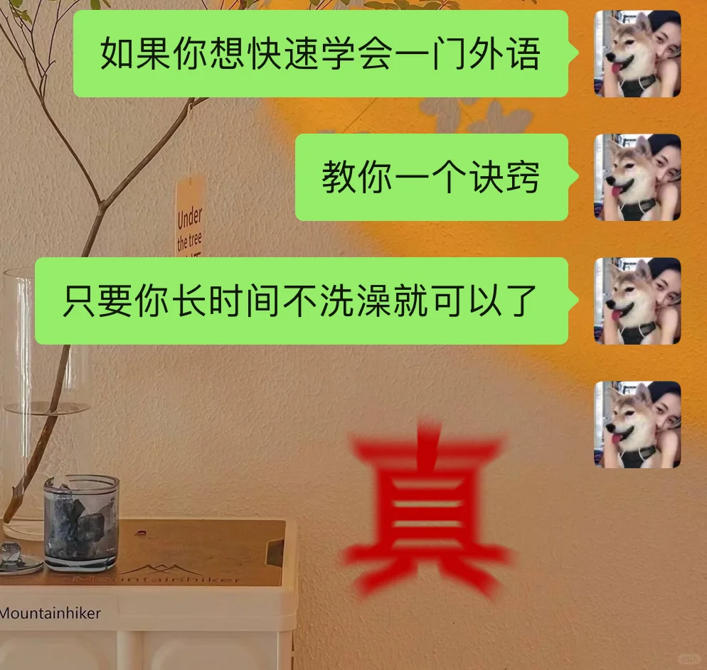 这个贱我必须犯