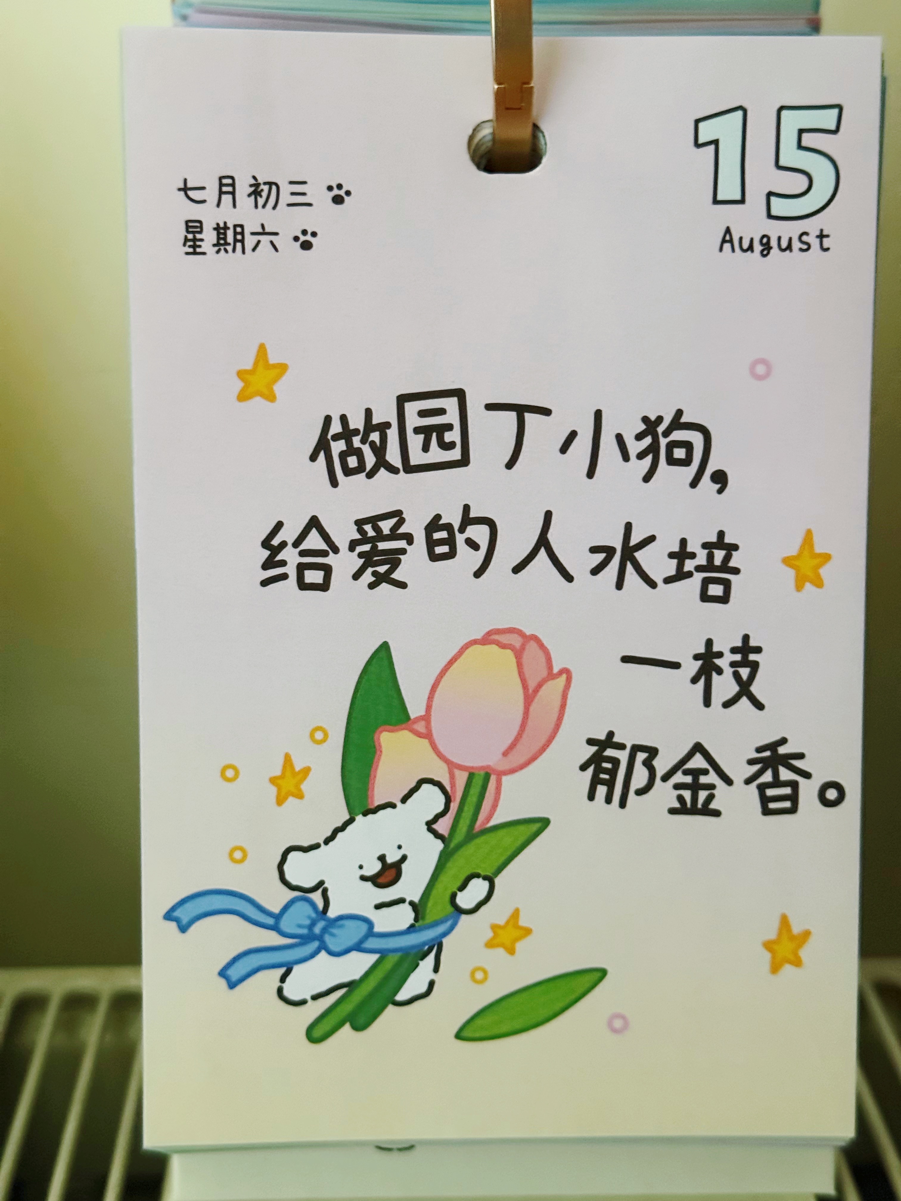 早上好 