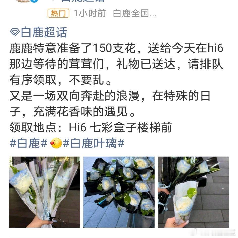 白鹿520给粉丝准备了花 今年我好像看明白了白鹿为什么这两年上升那么快都快成女顶