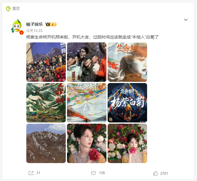 【、胡歌《生命树》青海开机 #杨紫生命树开机照#】#生命树开机# 电视剧《生命树