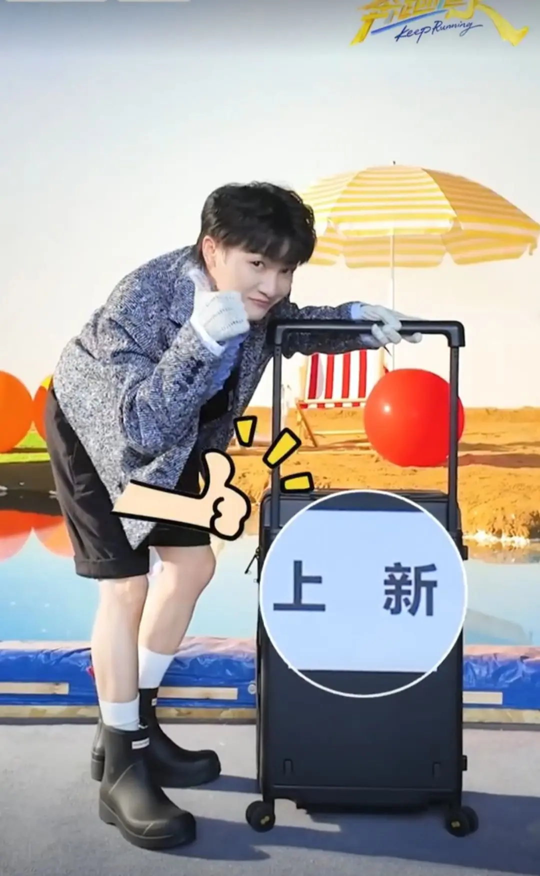 定档啦