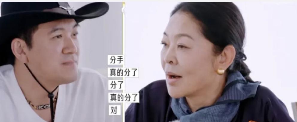 网友看完最新一期杨子和倪萍的对话！

现在开始严重怀疑杨子和黄圣依离婚后，根本就