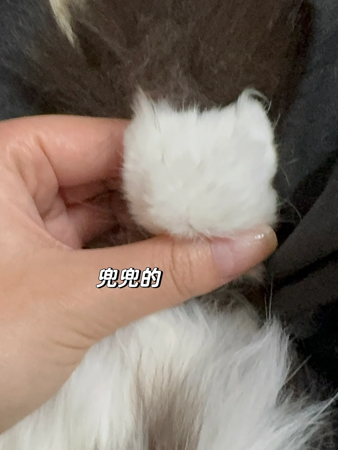 小咪的jiojio里面也是小咪耶 嘻嘻