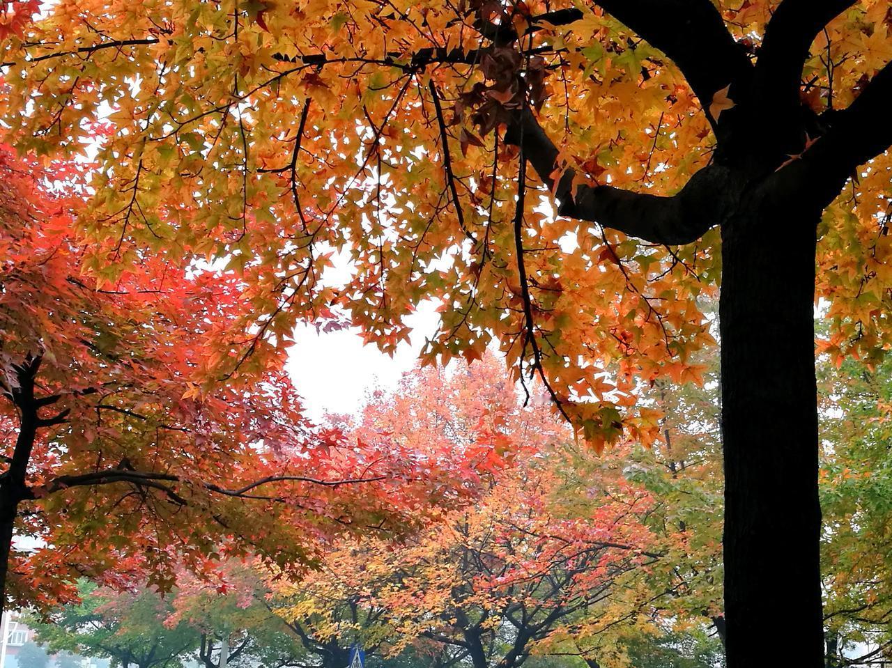 【热评】银行要尽责但不能侵权
银行取钱不再一刀切式询问

“取钱被刨根问底”曾是