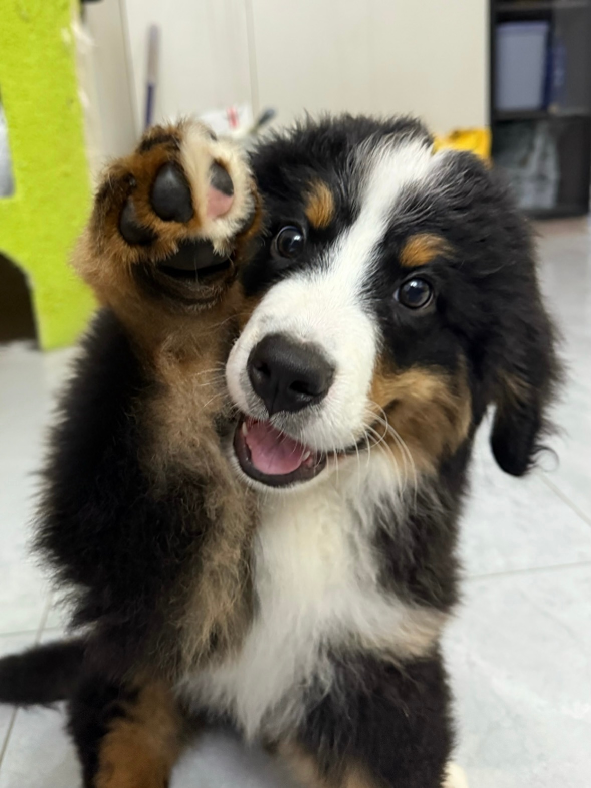 偶宝宝^_^ 