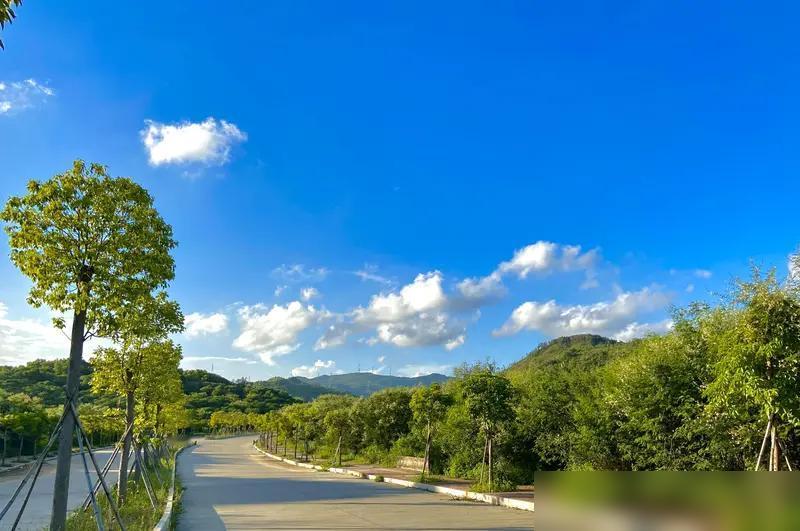 会过日子只需三点。
​
1.不亏待自己
​
别总想着牺牲。
​
你也是家人。
​