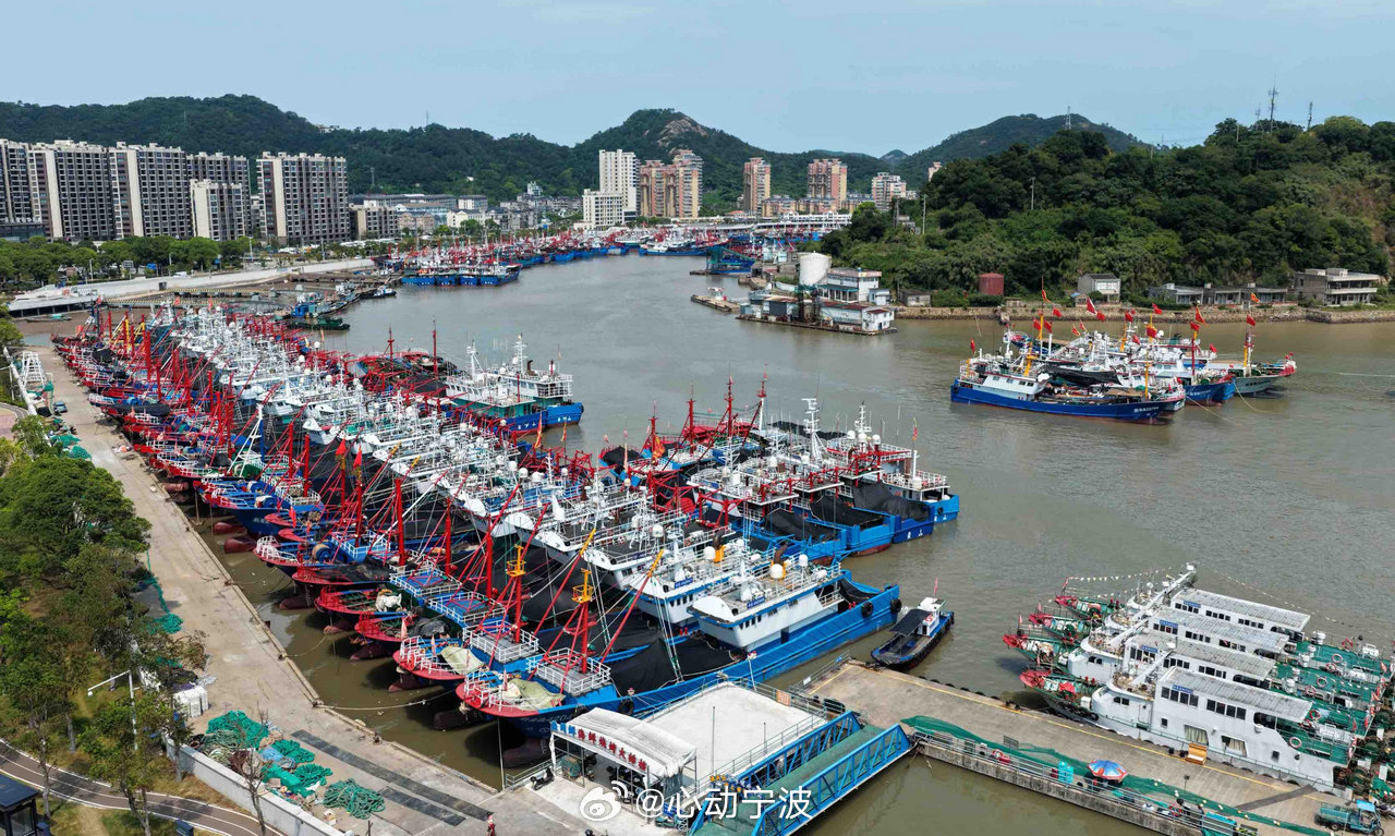 宁波人马上就能吃到梭子蟹啦 原本定在8月5日的宁波小开渔，因为台风白海豚过境推迟