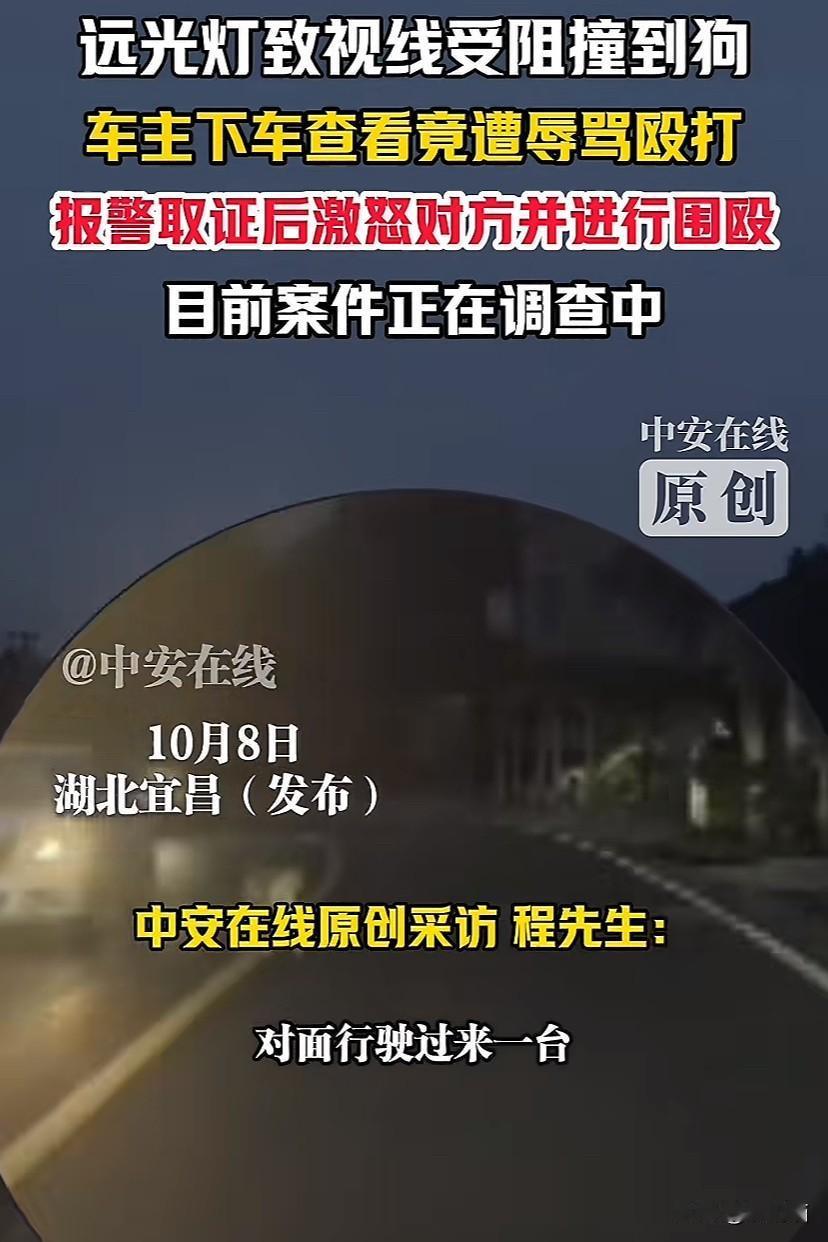 湖北宜昌，车主驾车在路上行驶因对面车辆开远光灯导致视线受阻撞到狗。车主下车查看竟