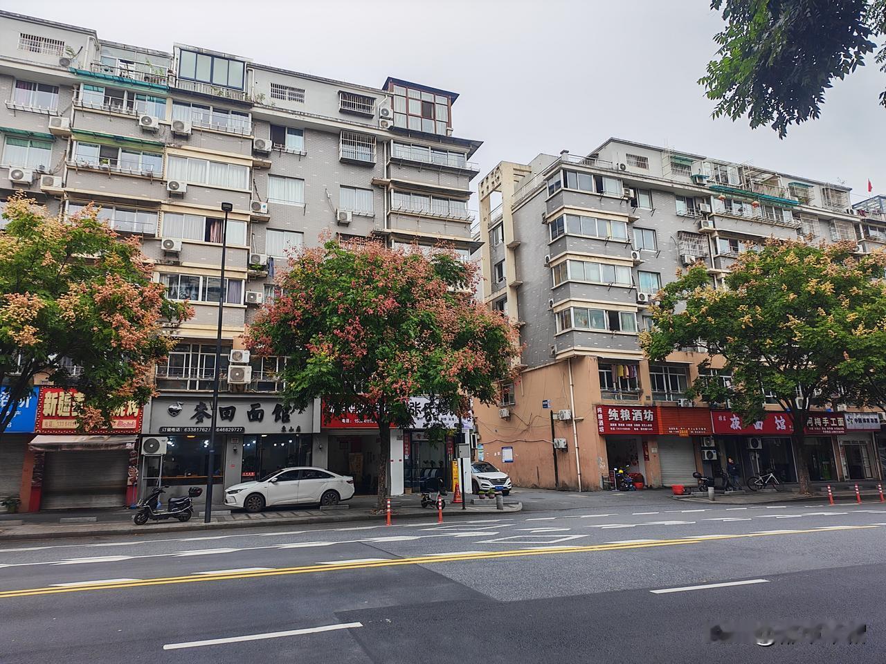 老同事跟我说：老家回不去了。唯一的亲人哥哥家也得罪了。我问他怎么回事，他说自己一