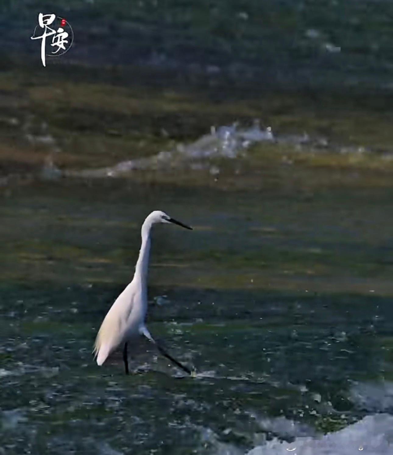 早晨早晨 ​​​