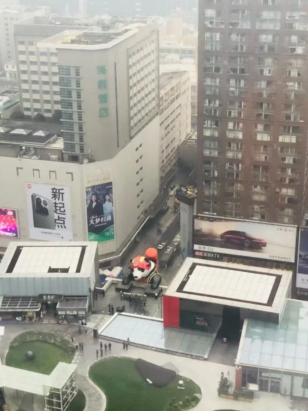 IFS大熊猫换造型了