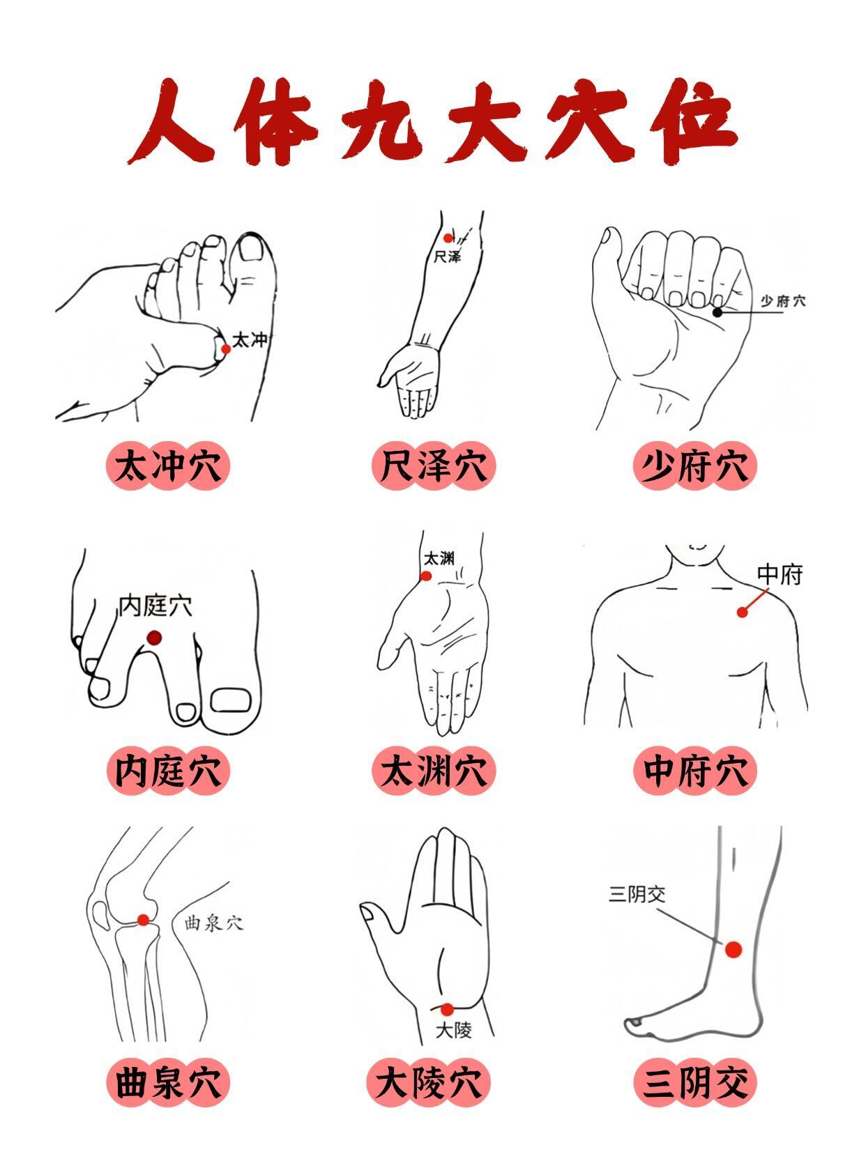 人体暗藏9大穴位❗️每个能当作一味🌿药 