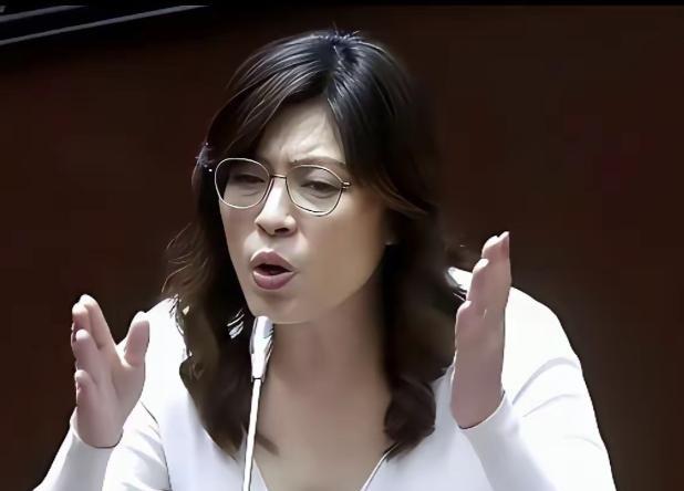 台湾蓝营终于摊牌了！

郑丽文直接公开表明态度，坚决不接受一国两制。

岛内这一