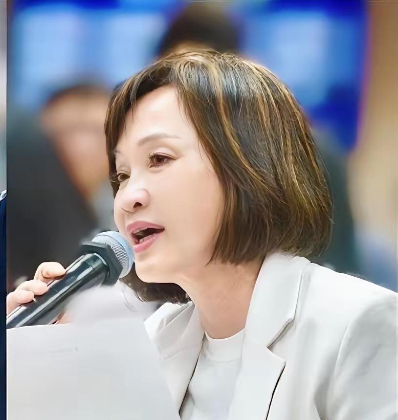 柯志恩喊“不通过8000亿军购高雄很难选” 陈挥文批：你老公小孩全在美国 你怎么