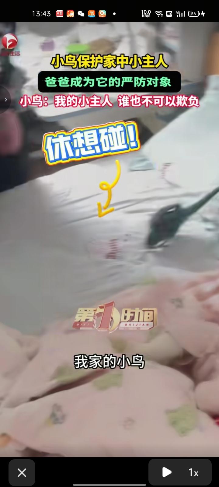3月6日，安徽淮北。女子发视频表示，小鸟为保护宝宝，在孩子爸爸伸手去抱就去阻止，