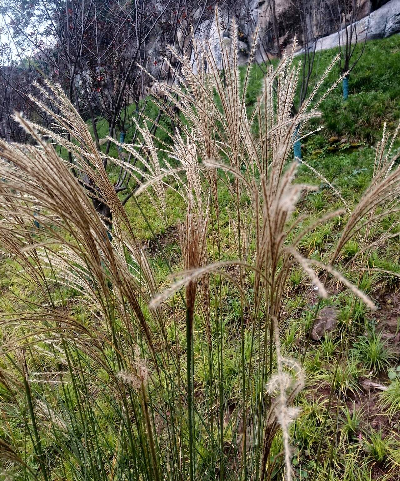 还有3天，颜老师就满60岁要退休了，学校这时候突然让交教师资格证、最高学历证、职