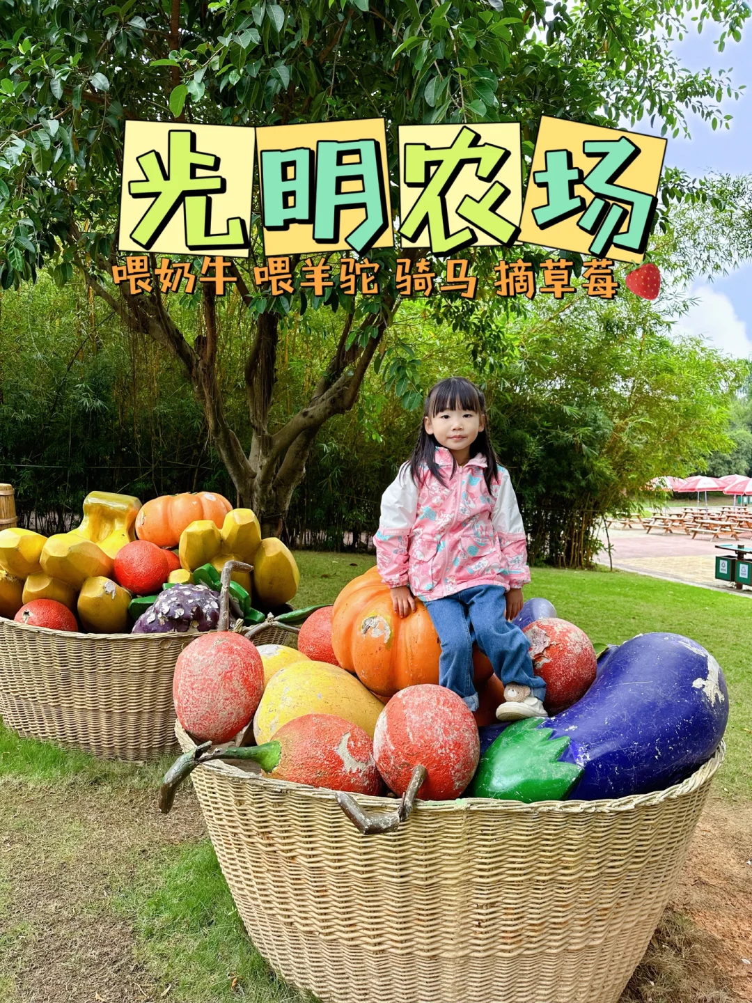 深圳光明亲子1日游｜吃喝玩乐路线攻略献上✔️