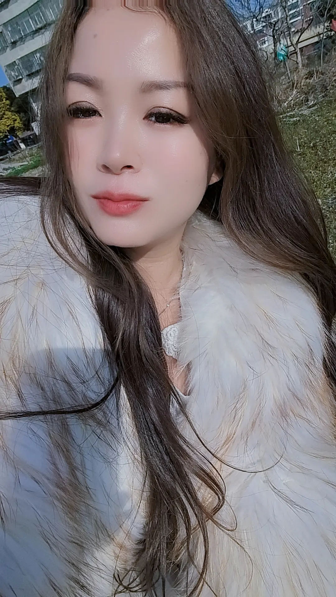 我在黄昏里痴痴的等，等你这个爱上别人的人