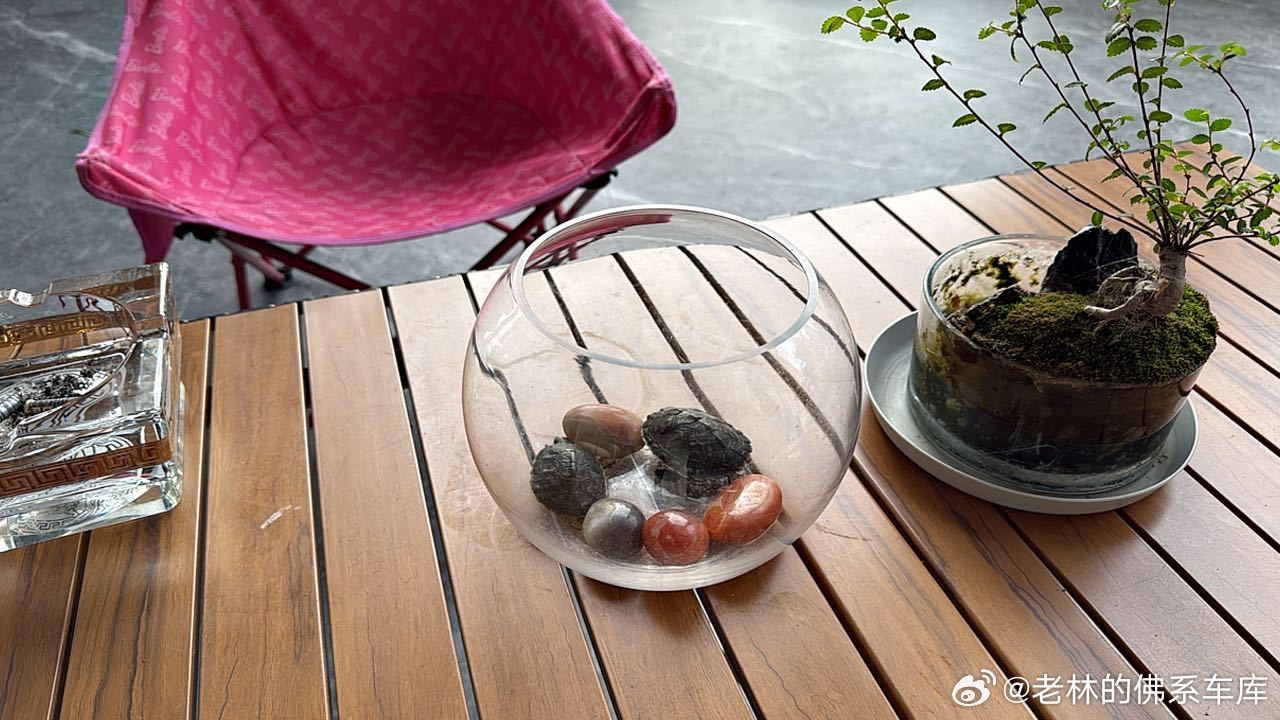 早上好🌞但我不太好