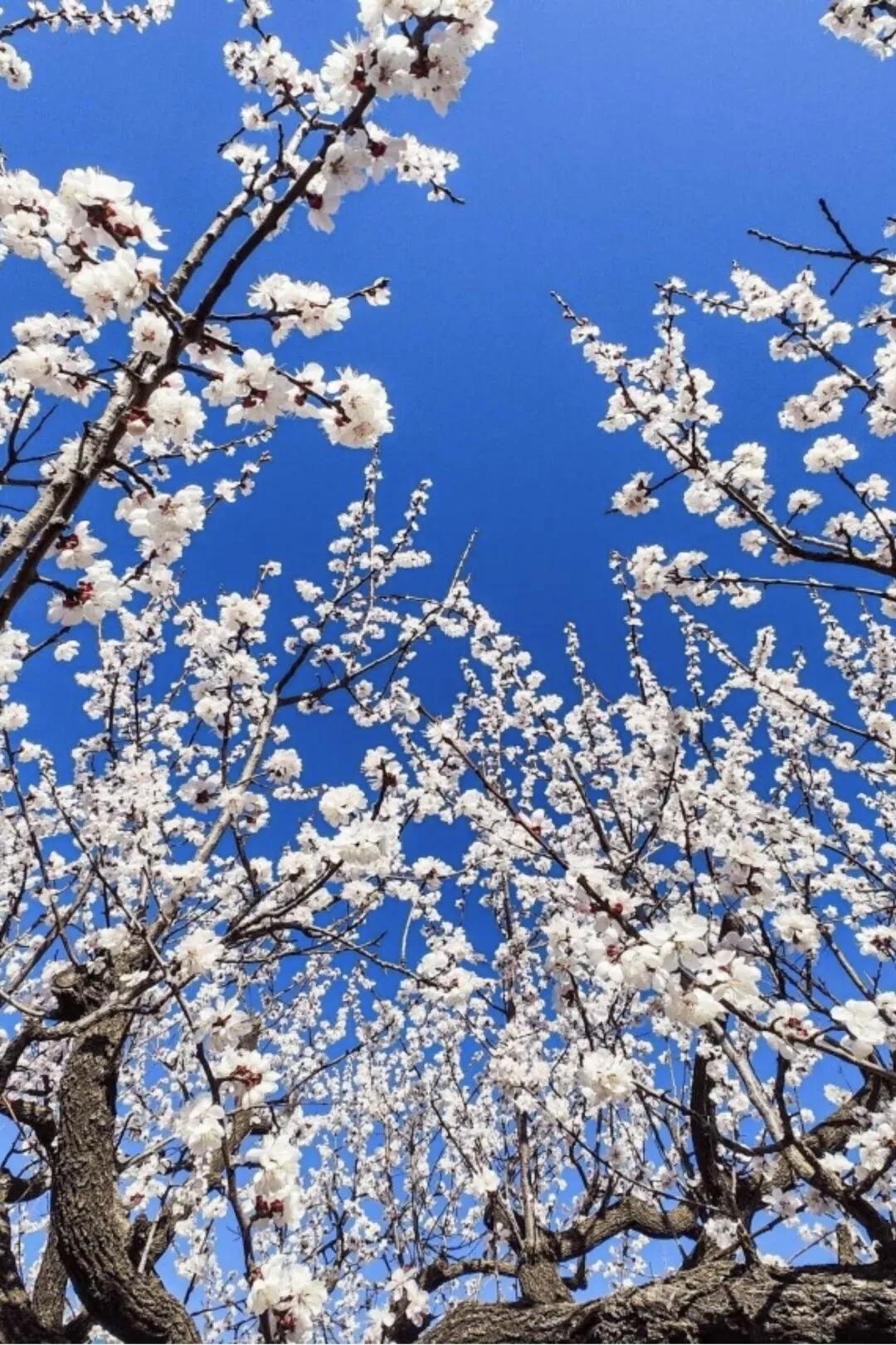 你很优秀，只意味着你有潜在的利用价值。你懂生存，才意味着你有潜在的合作空间。优秀