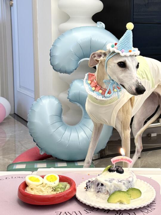 请大家暂停一下 可以先祝小斗我生日快乐嘛！