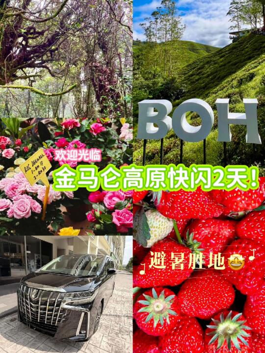金马仑高原快闪2天！多重体验一站式拿捏！