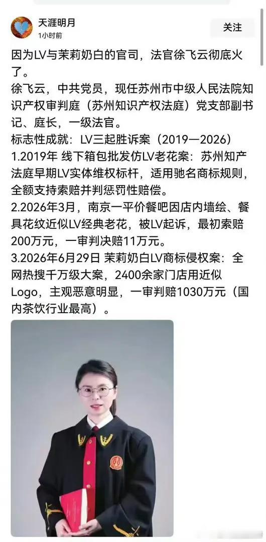 疑似LV“御用”法官？

涉嫌吃里扒外，胳膊肘往外拐！

知识产权定罪牵强附会，