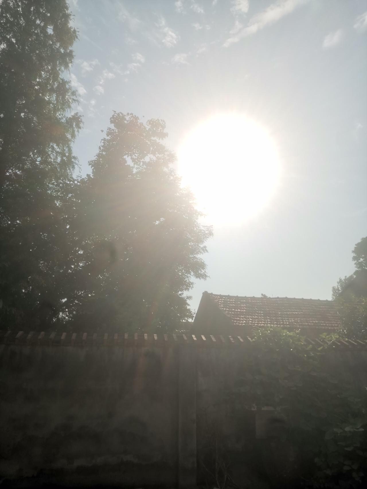 秋日的阳光就是猛烈，不然地里的庄稼怎么能迅速成熟呢？
秋收冬藏太有意义了。