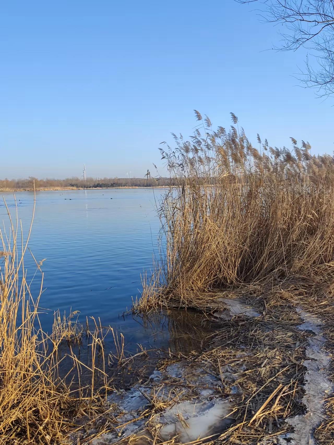 猝死的多，累死的多，跳楼的多，跳河的多，上吊的多……你看看，你们这些年轻人干得这