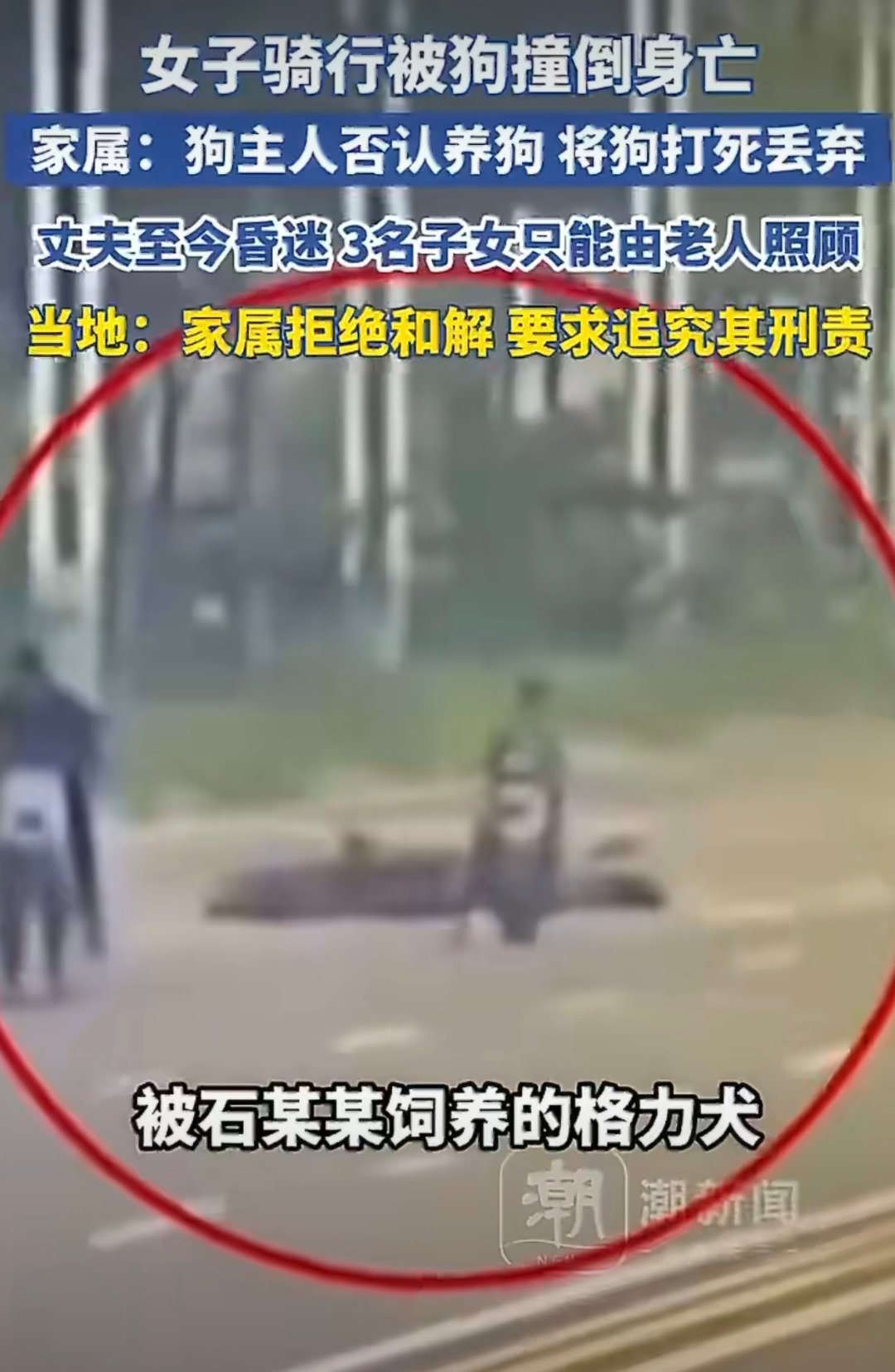 女子被狗撞倒身亡主人将狗打死狗主人否认养狗，还将狗打死丢弃这种人渣，必须追究其刑