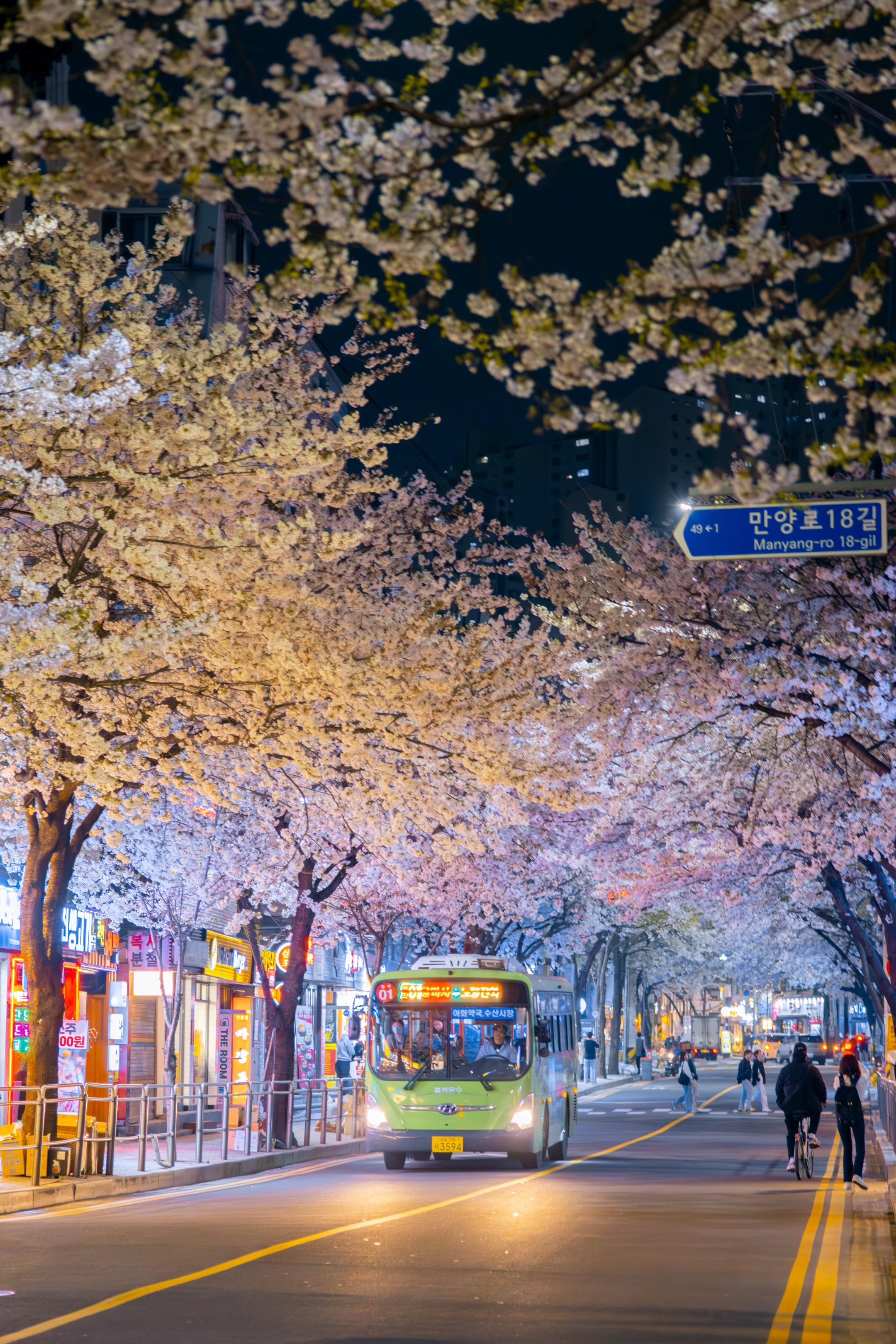 首尔夜樱🌸在春夜的时候见一面吧。一旦看过《春夜》 便会在每个繁花盛开...