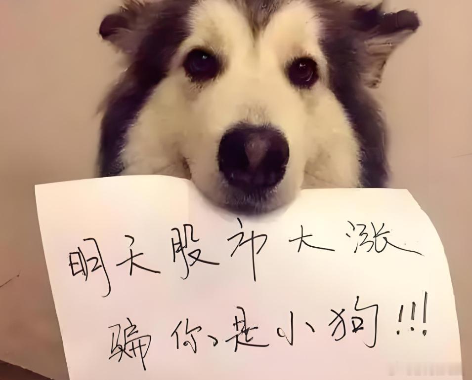 复盘复盘，每天都是精神抖擞！大跌大复小跌小复，明天会大涨~ 