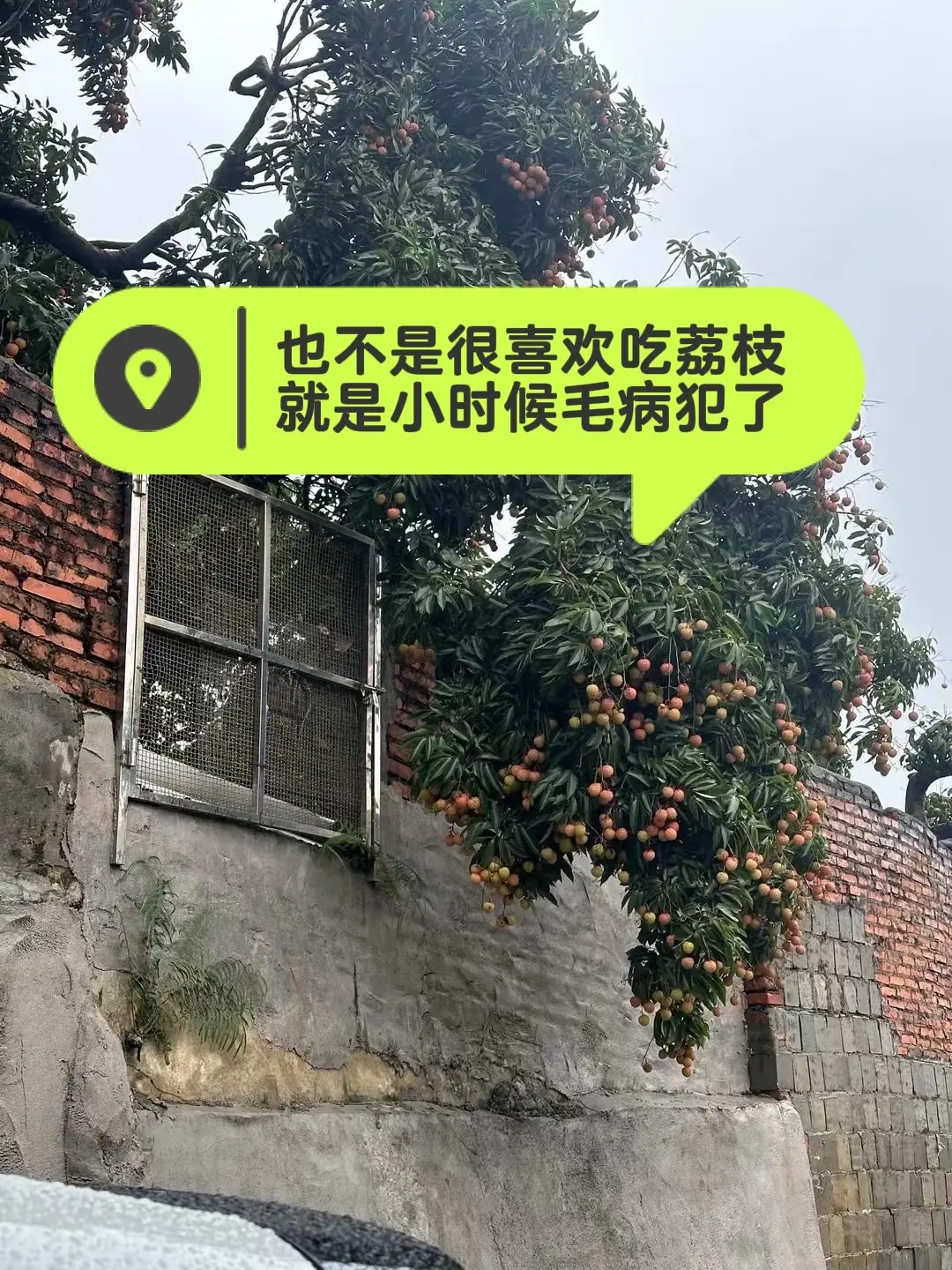 也不是很喜欢吃荔枝，就是小时候的毛病犯了