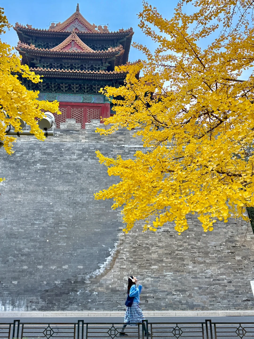 18张图带你回顾北平的秋🍂来年千万别错过