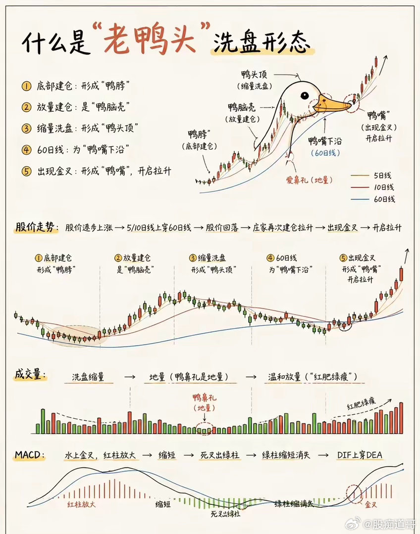 老鸭头是A股里超经典的主力洗盘后拉升形态，被散户当成抓主升浪的“信号枪”。它的形